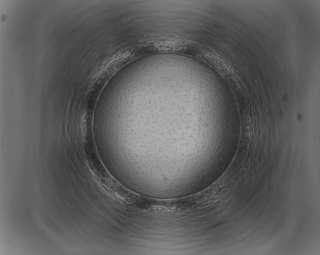 X0000086090690200704091327