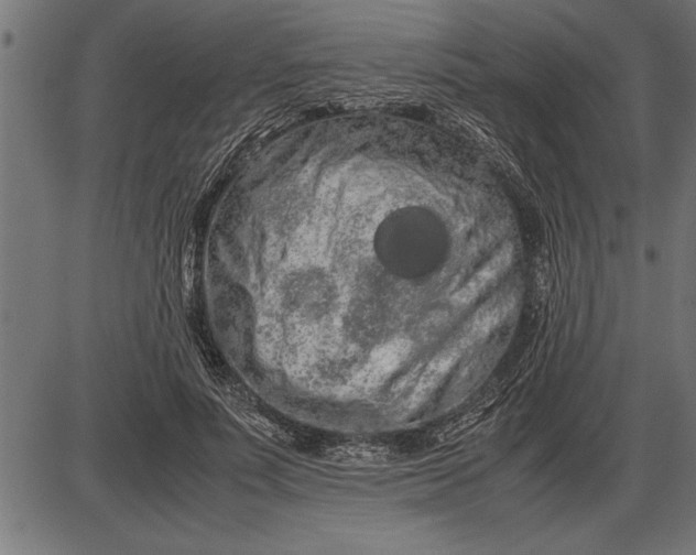 X0000086090691200704091327