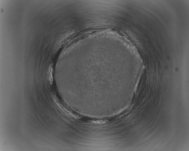 X0000086090692200704091327