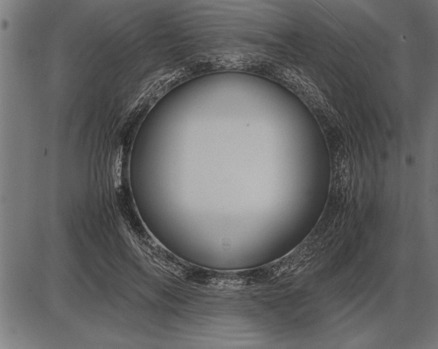 X0000086090694200704091327