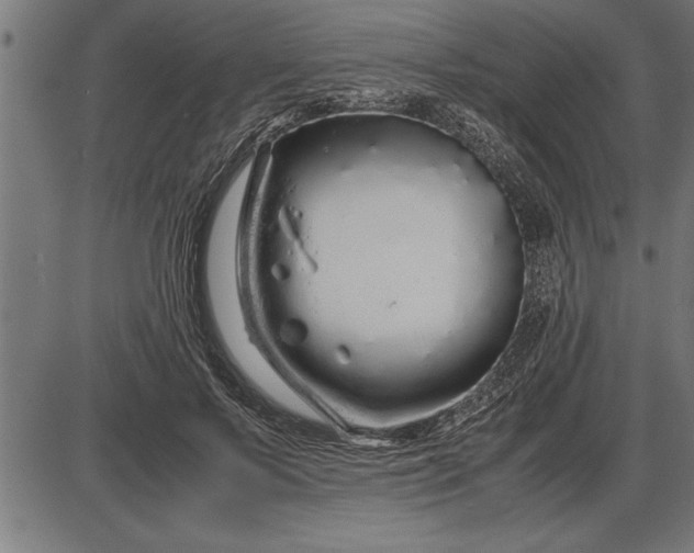 X0000086090695200704091327