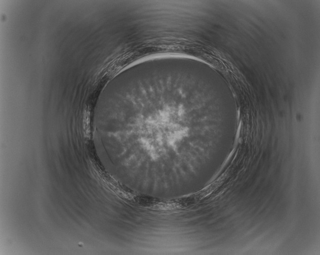 X0000086090696200704091327