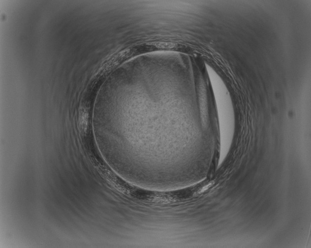 X0000086090697200704091327