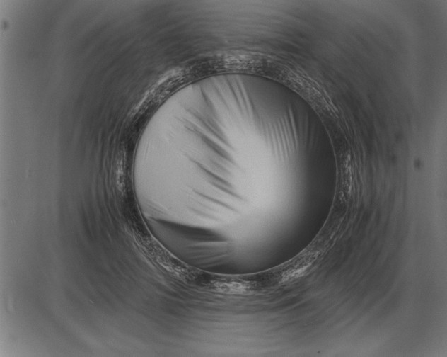 X0000086090698200704091327