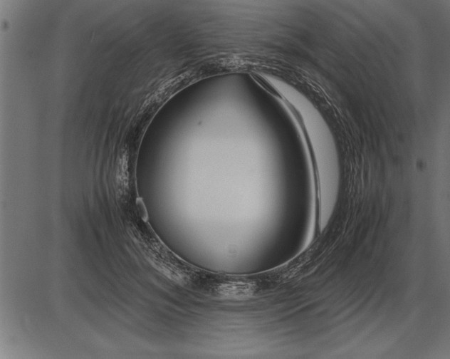 X0000086090700200704091327