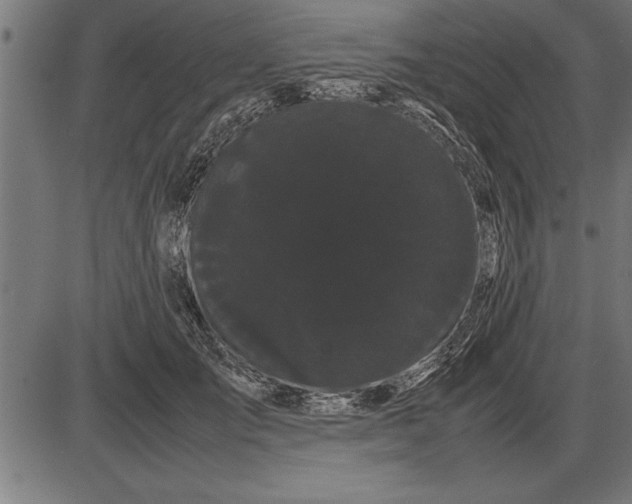 X0000086090701200704091327