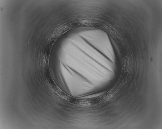 X0000086090702200704091327