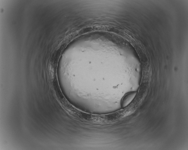 X0000086090703200704091327