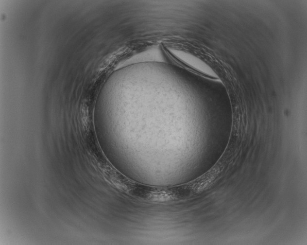 X0000086090704200704091327