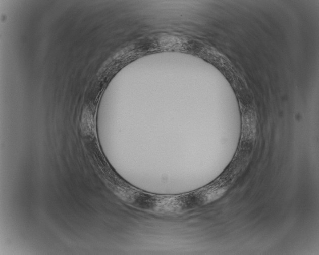 X0000086090705200704091327