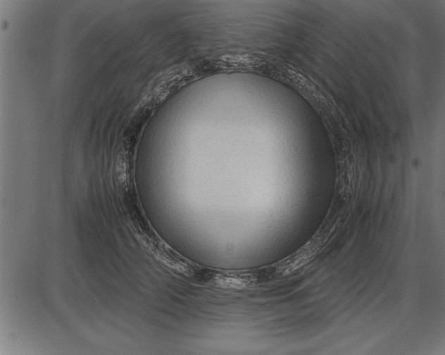 X0000086090706200704091327