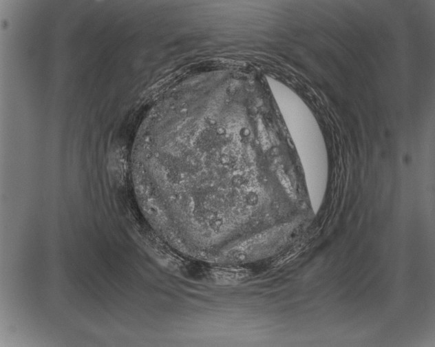 X0000086090707200704091327