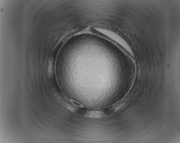 X0000086090708200704091327