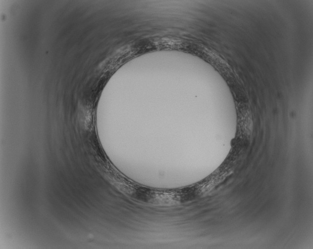 X0000086090709200704091327