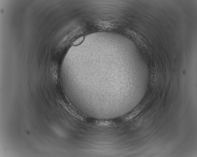 X0000086090710200704091327