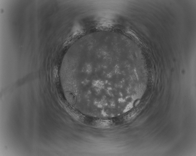 X0000086090711200704091327