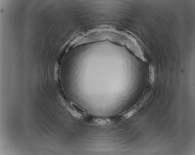 X0000086090712200704091327