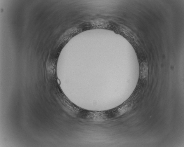 X0000086090713200704091327