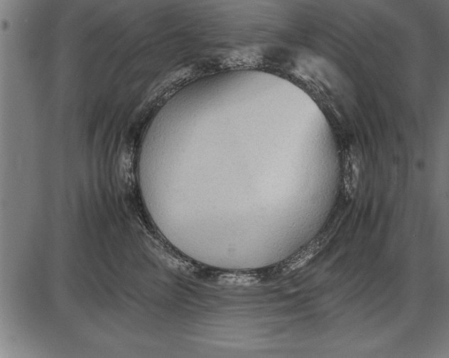 X0000086090714200704091327