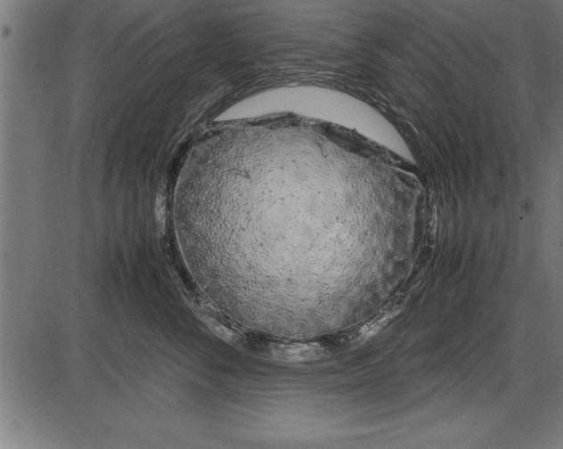 X0000086090716200704091327