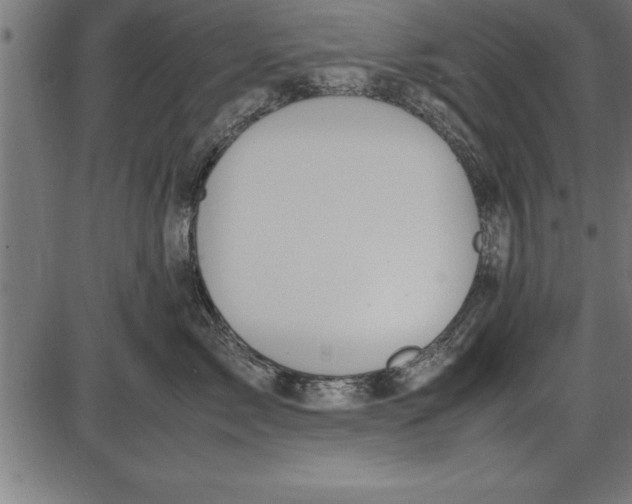 X0000086090717200704091327