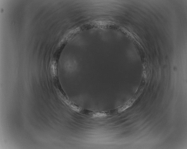 X0000086090718200704091327