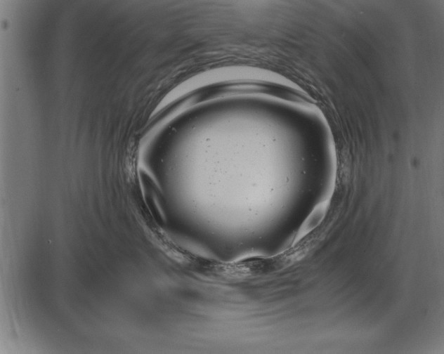 X0000086090719200704091326