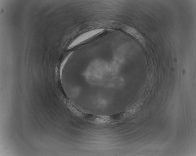 X0000086090720200704091326