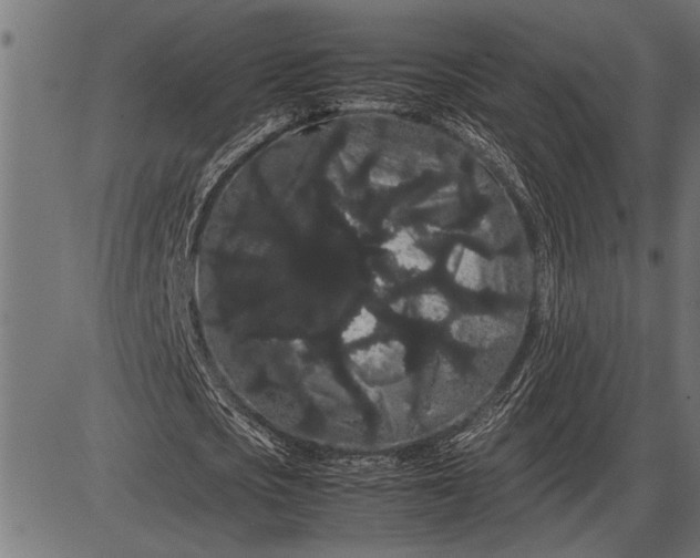 X0000086090721200704091326