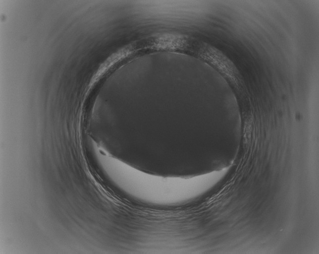 X0000086090722200704091326