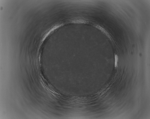 X0000086090723200704091326