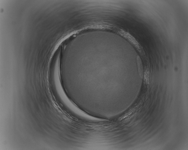 X0000086090724200704091326