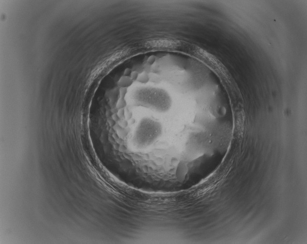 X0000086090725200704091326