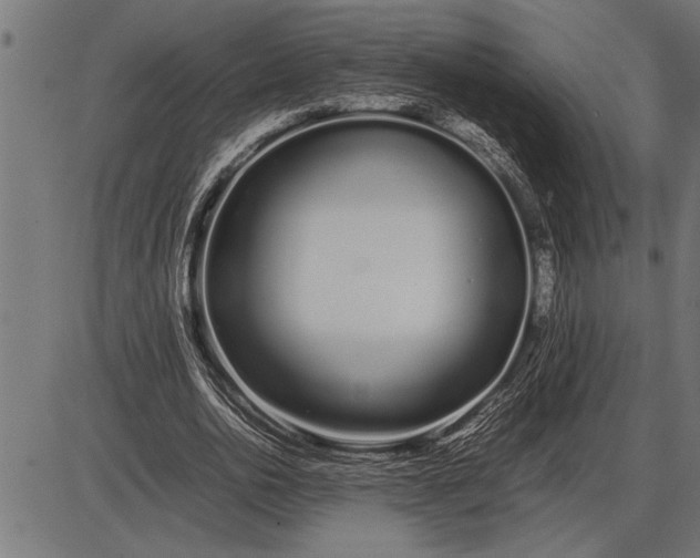 X0000086090726200704091326