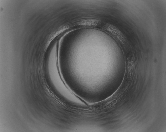 X0000086090727200704091326