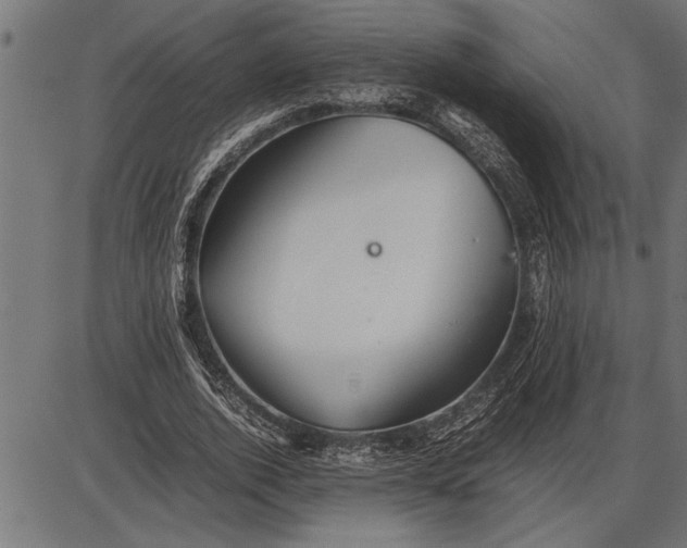 X0000086090728200704091326