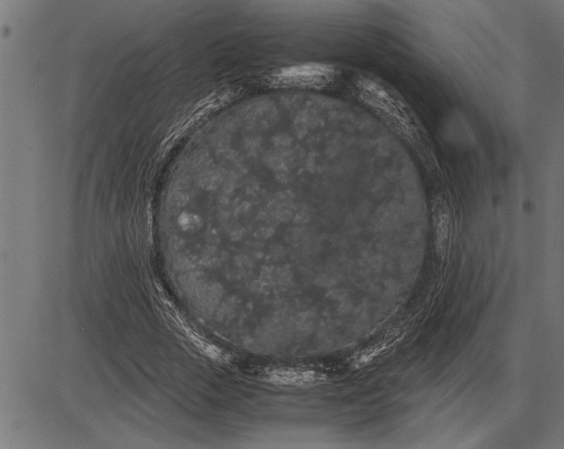 X0000086090729200704091326