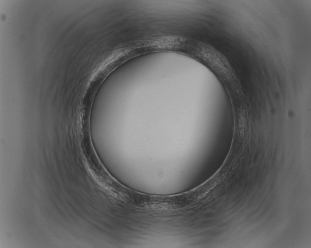 X0000086090730200704091326