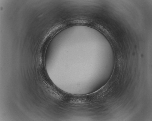 X0000086090731200704091326