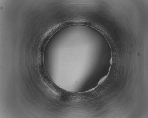 X0000086090732200704091326