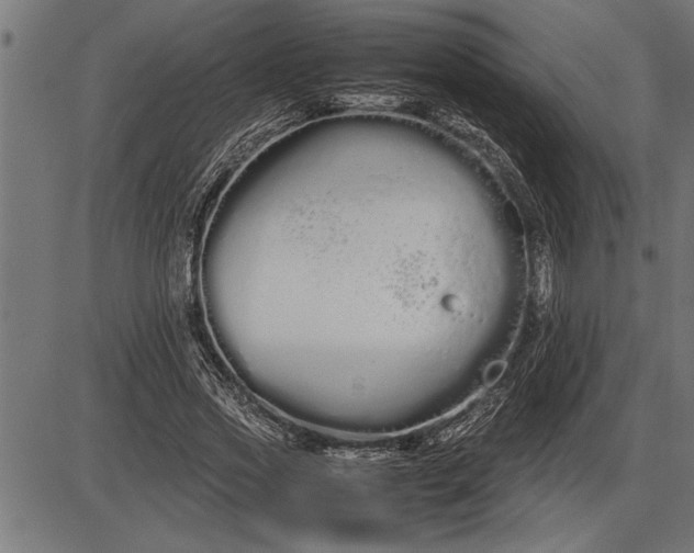 X0000086090733200704091326