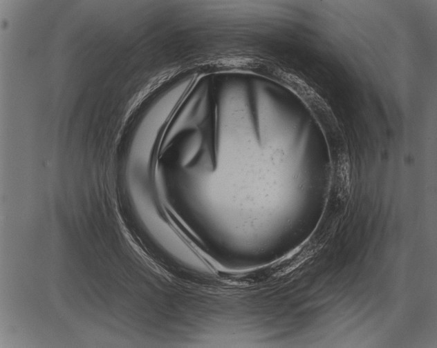 X0000086090734200704091326