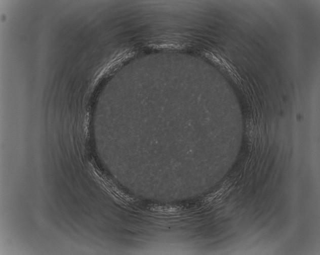 X0000086090735200704091326