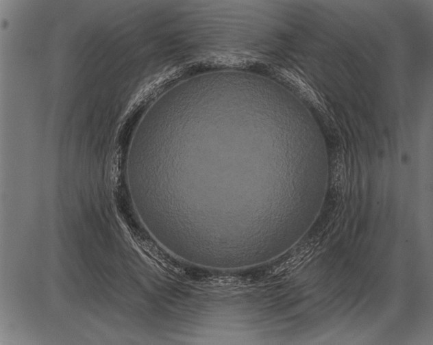 X0000086090736200704091326