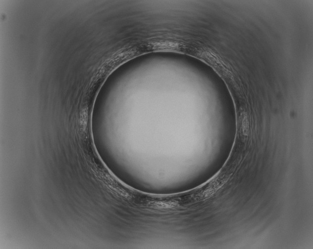 X0000086090737200704091326