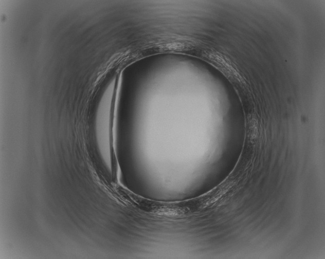 X0000086090738200704091326