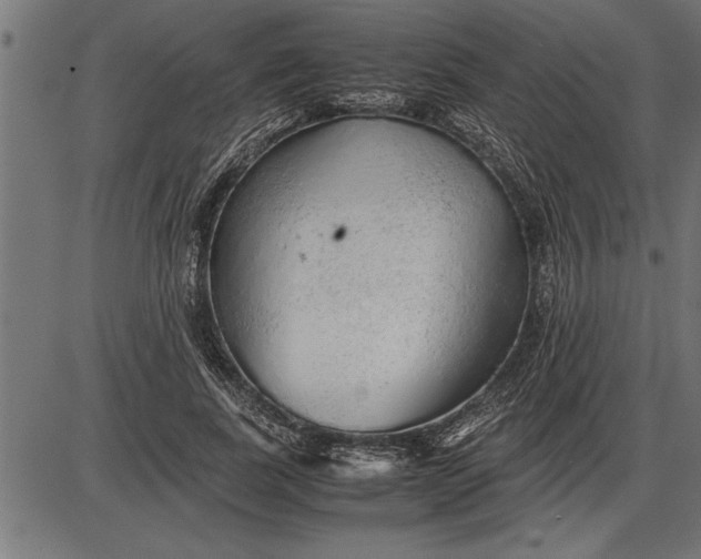 X0000086090739200704091326