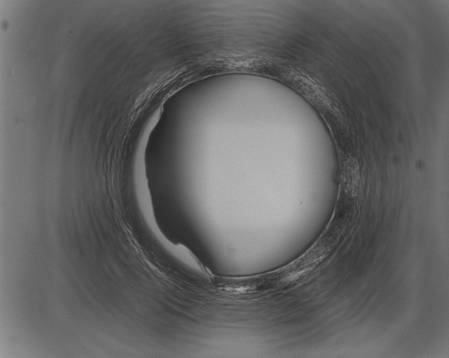 X0000086090740200704091326