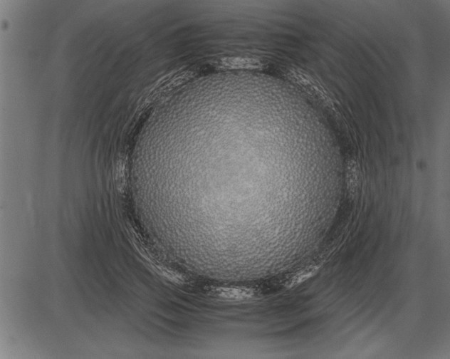 X0000086090741200704091326