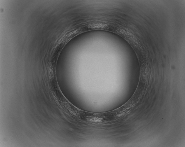 X0000086090743200704091326